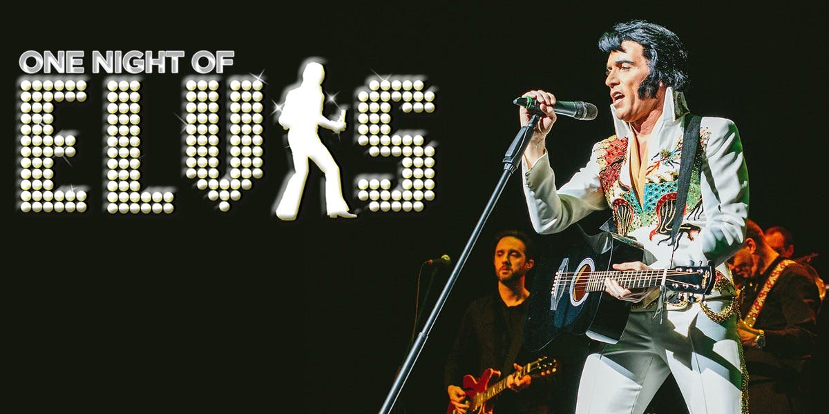One Night Of Elvis hero