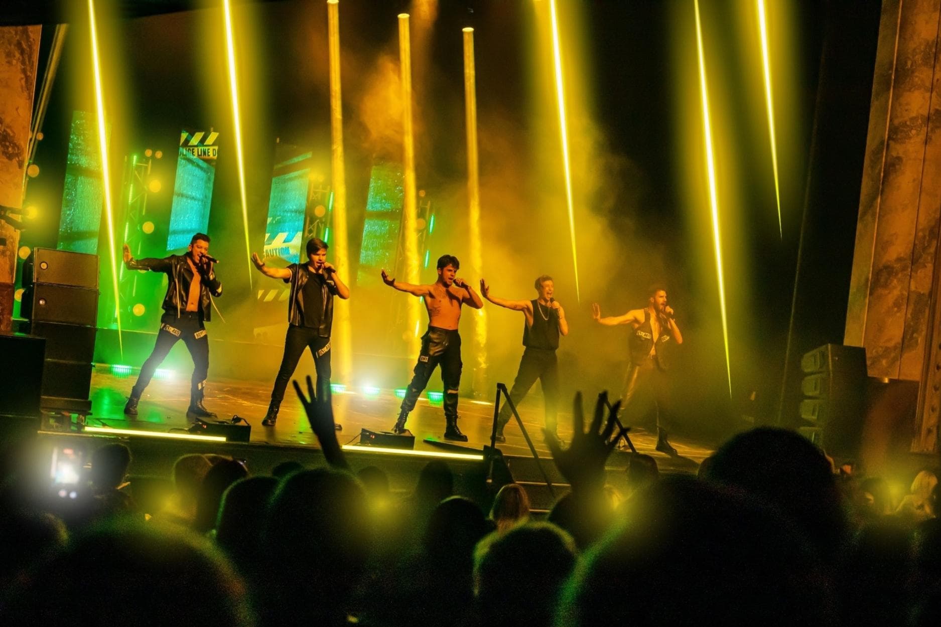 Image preview for The Ultimate Boyband Party Show