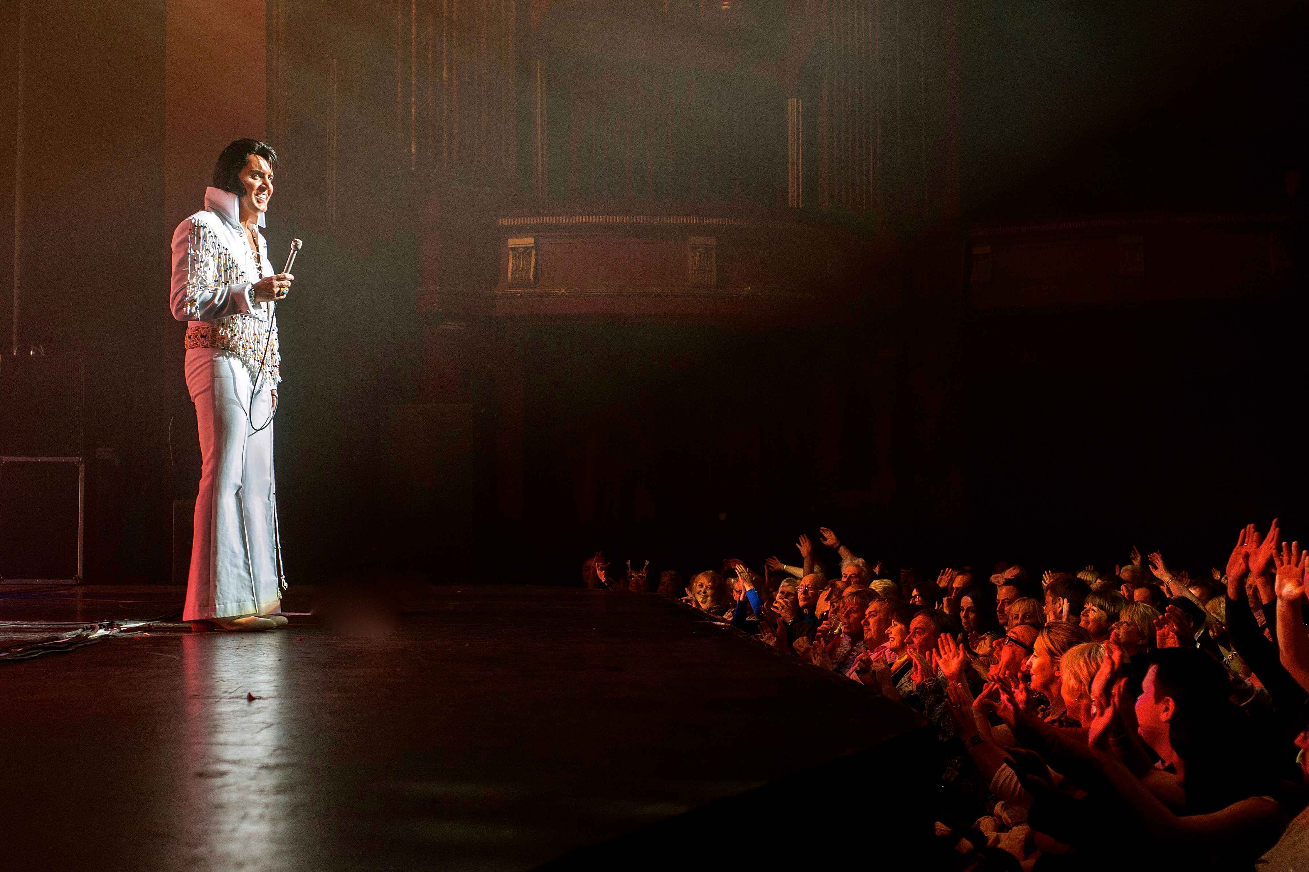 Image preview for A Vision of Elvis