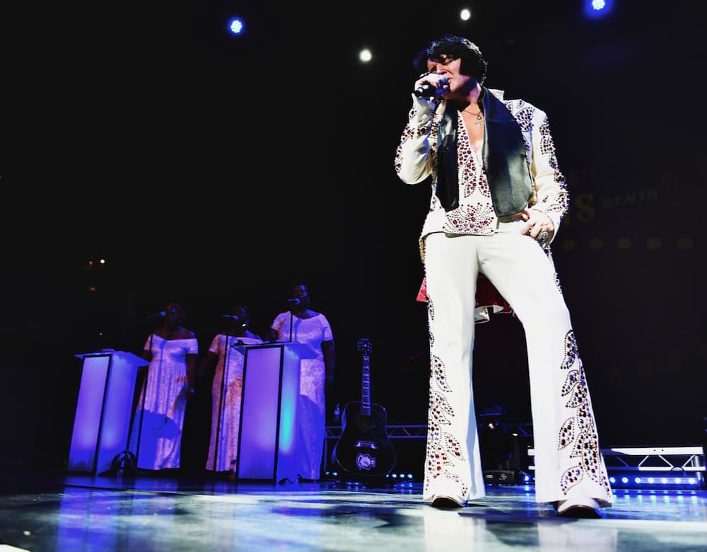 Image preview for A Vision of Elvis