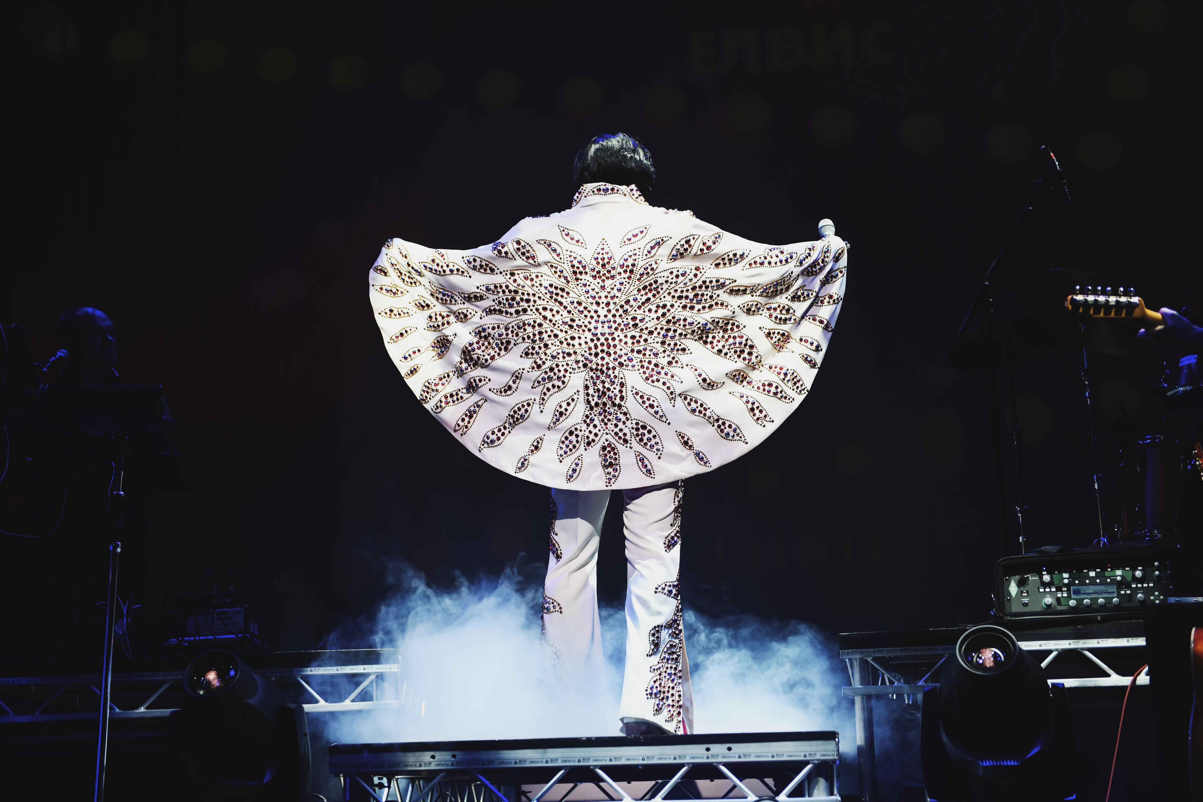 Image preview for A Vision of Elvis