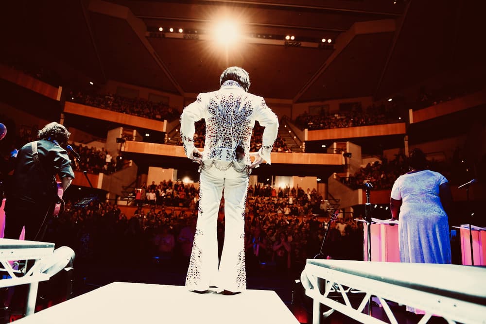 Image preview for A Vision of Elvis