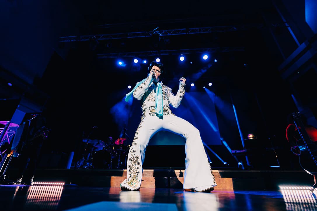 Image preview for A Vision of Elvis