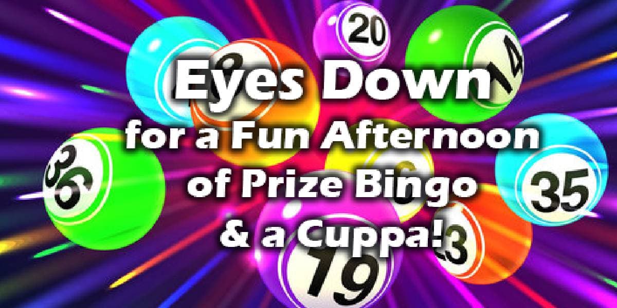 Hero image for Day Time Prize Bingo For Adults In The Lounge