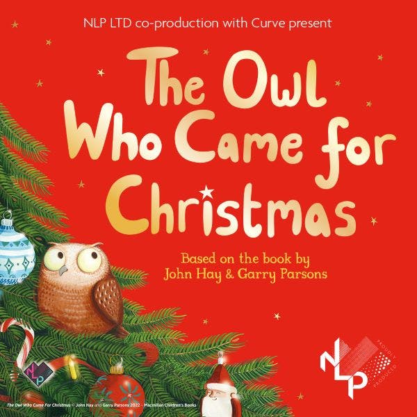 The Owl Who Came For Christmas  thumbnail