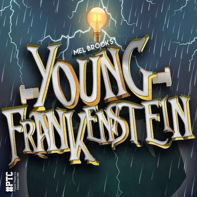  Young Frankenstein thumbnail