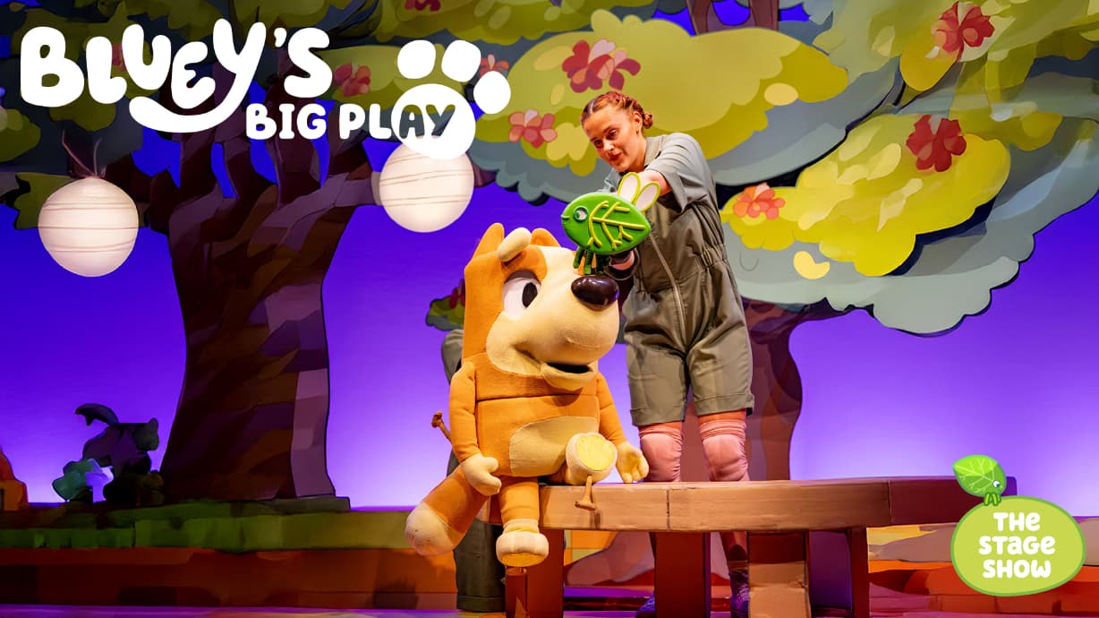 Image preview for Bluey's Big Play