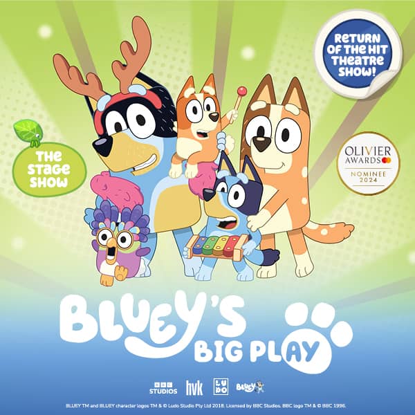 Bluey's Big Play
