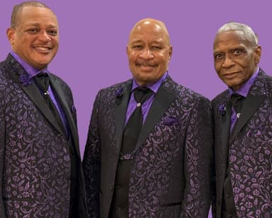 Hero image for The Stylistics Plus Support