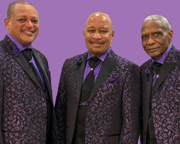 Hero image for The Stylistics Plus Support