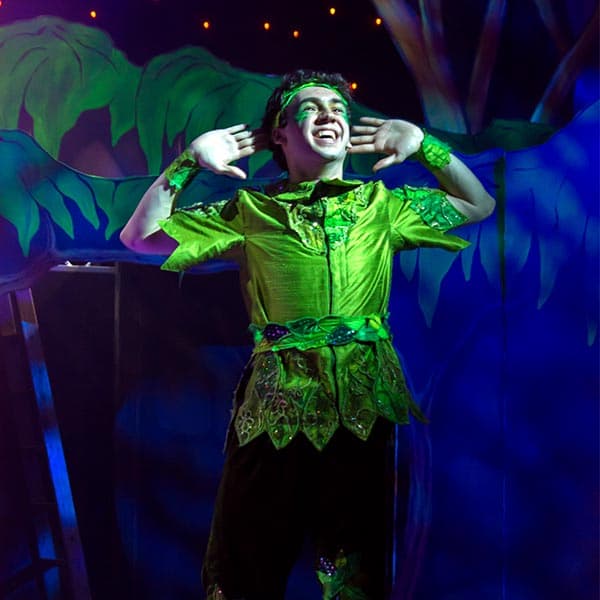 Image preview for Peter Pan