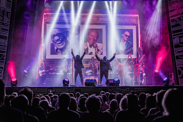 Image preview for The Chicago Blues Brothers