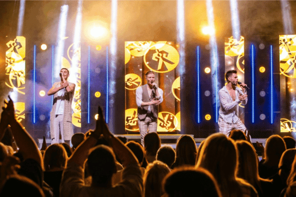 Image preview for The Ultimate Boyband Party Show