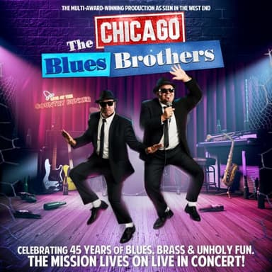 Hero image for The Chicago Blues Brothers