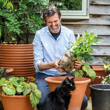 Hero image for Adam Frost