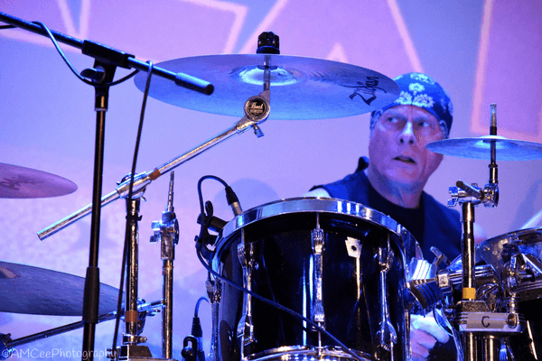 Image preview for T Rextasy