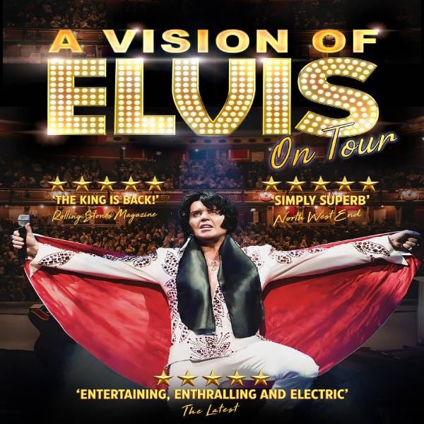 Hero image for A Vision Of Elvis