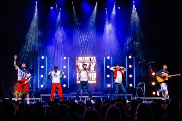 Image preview for The Ultimate Boyband Party Show