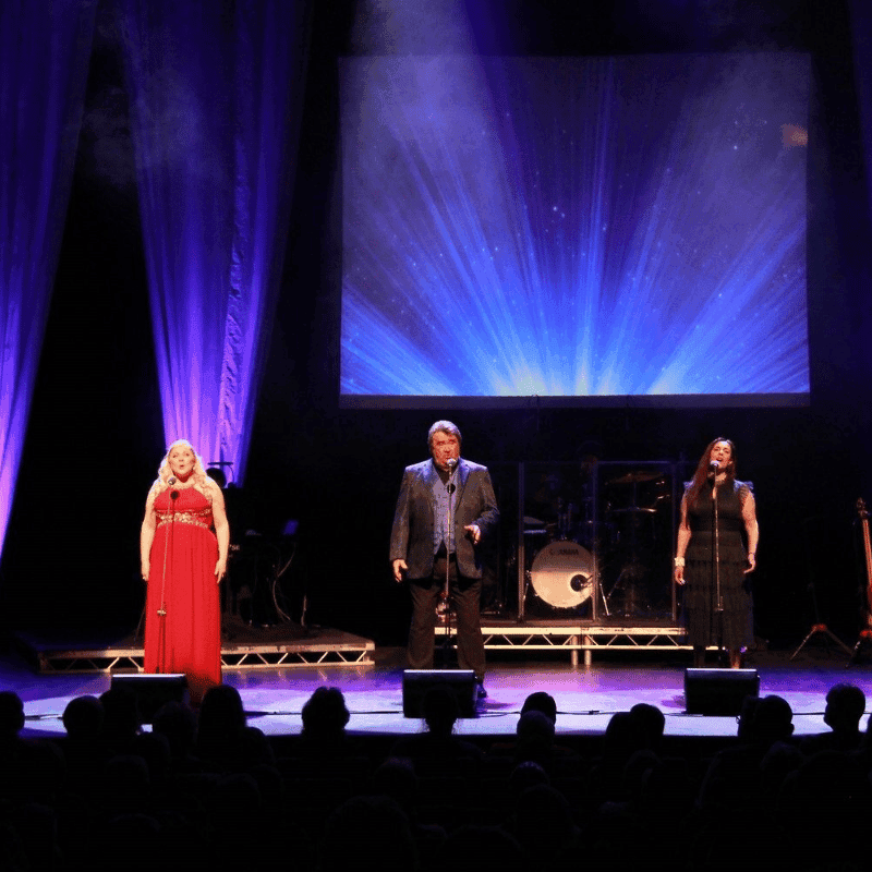 Image preview for Beyond The Barricade