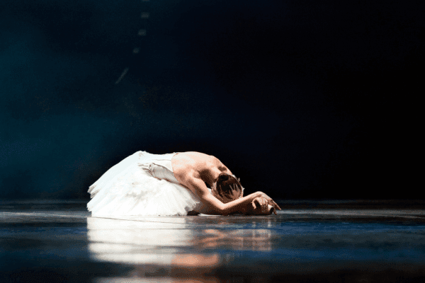 Image preview for Swan Lake performed by the Crown Ballet