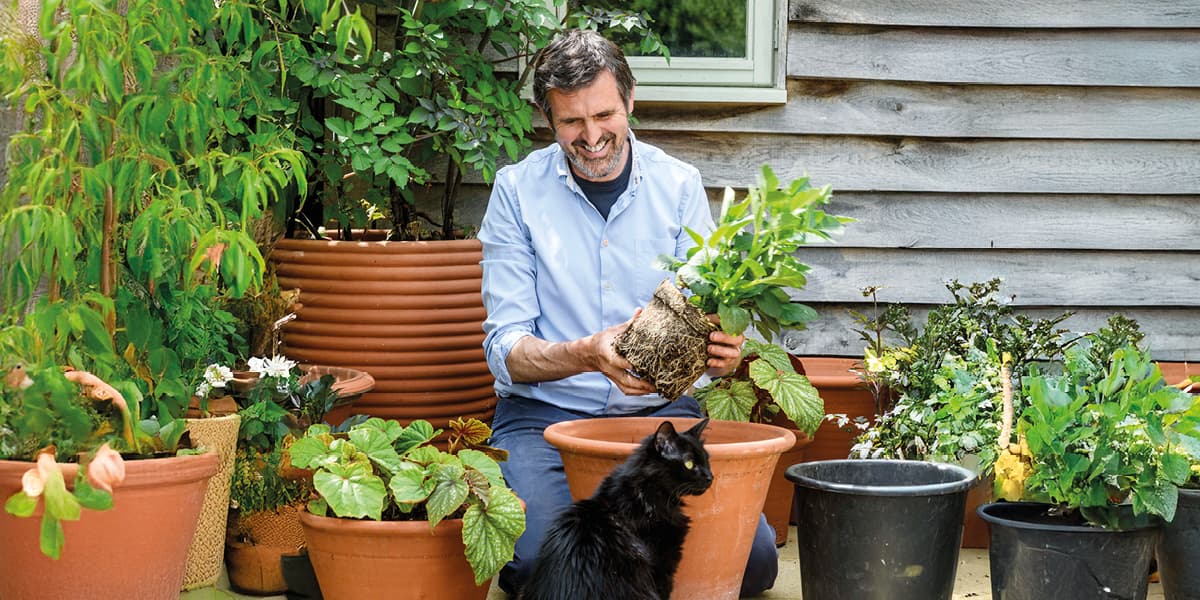 Hero image for Adam Frost