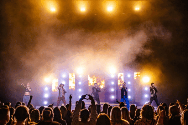 Image preview for The Ultimate Boyband Party Show