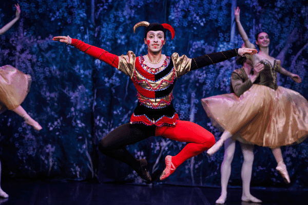 Image preview for Swan Lake performed by the Crown Ballet