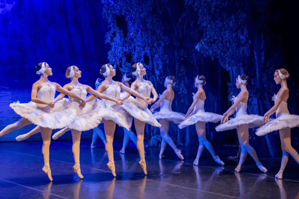 Image preview for Swan Lake performed by the Crown Ballet
