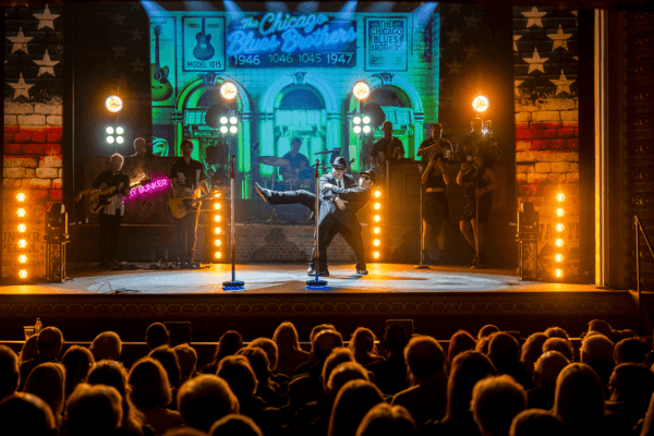 Image preview for The Chicago Blues Brothers