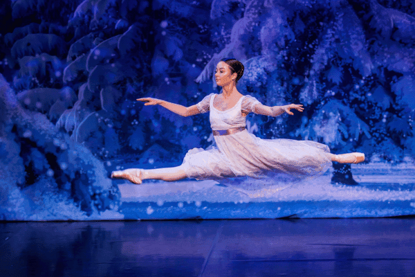 Image preview for The Nutcracker Performed By The Crown Ballet