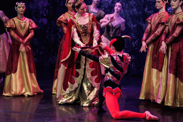 Image preview for Swan Lake performed by the Crown Ballet