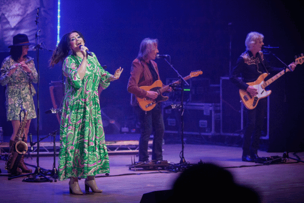 Image preview for The Carpenters Story