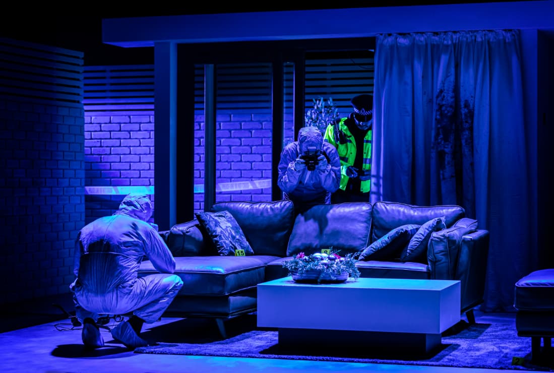 Image preview for Murder At Midnight