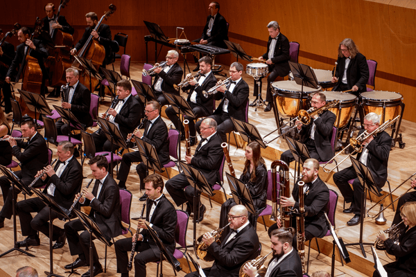 Image preview for Beethoven: Symphony No. 3 “Eroica”