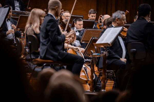 Image preview for Beethoven: Symphony No. 3 “Eroica”