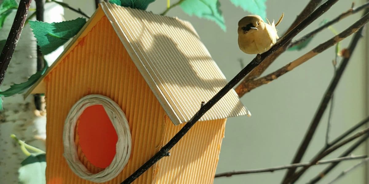 Hero image for Craft Cafe - Make Your Own Bird House