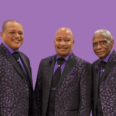 Hero image for The Stylistics Plus Support