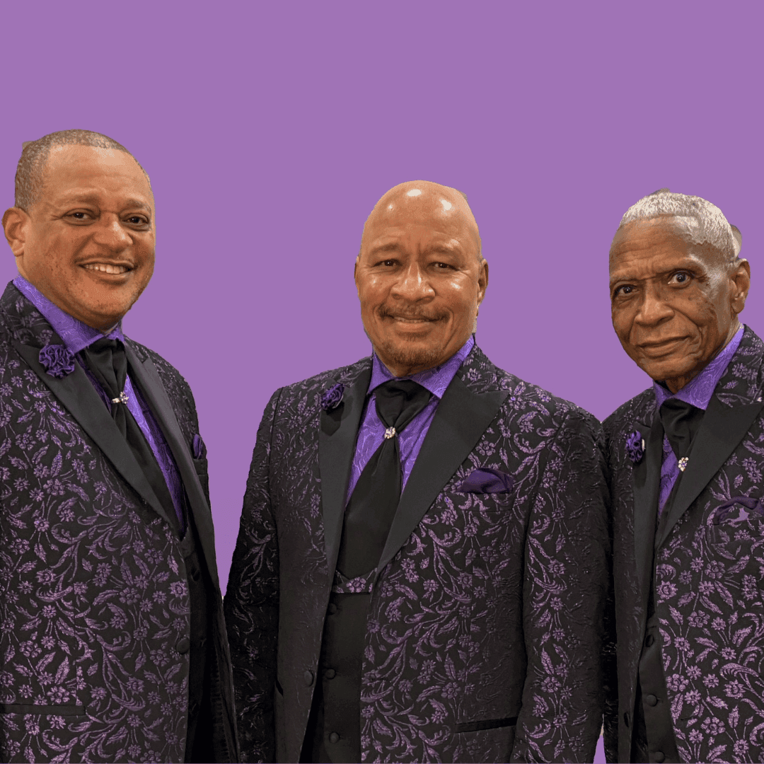 Hero image for The Stylistics Plus Support