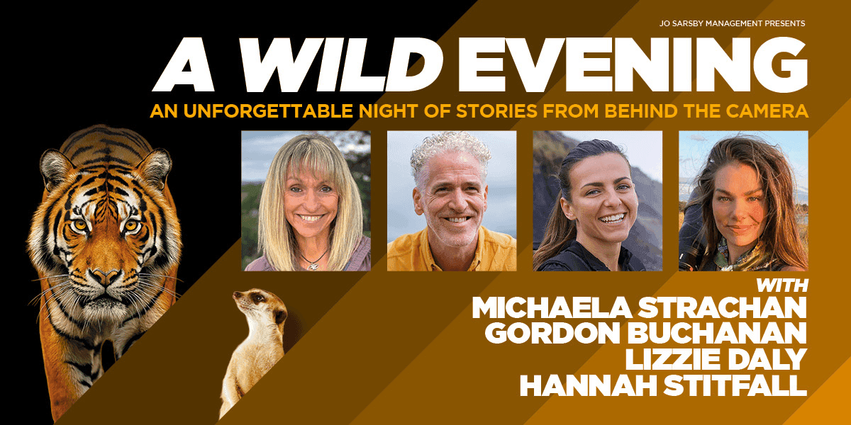 Hero image for A Wild Evening