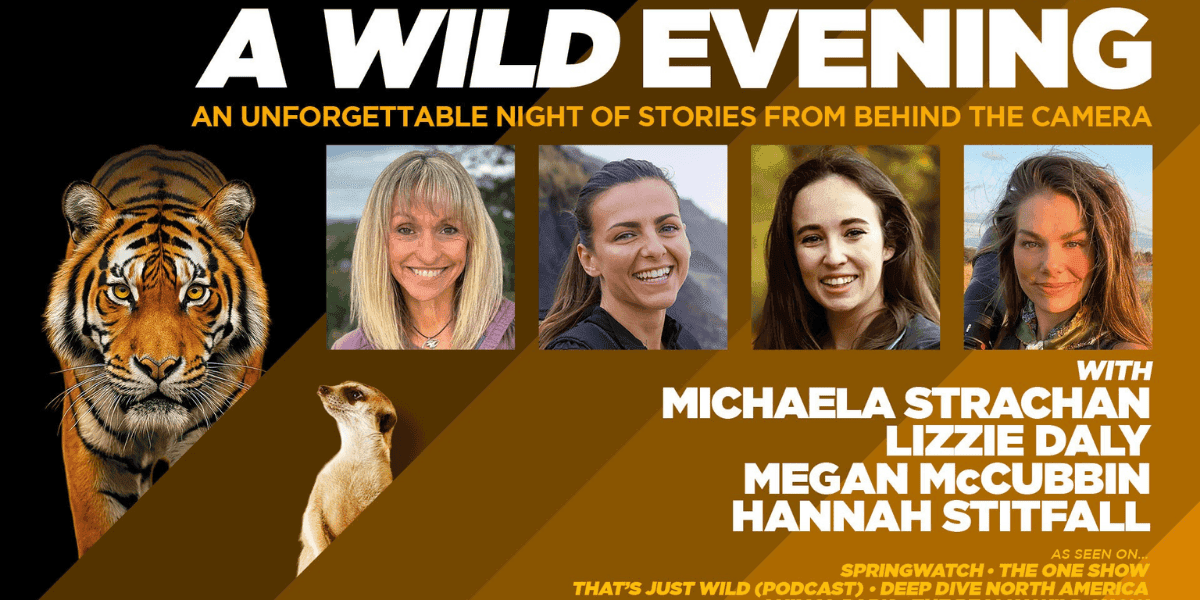 Hero image for A Wild Evening