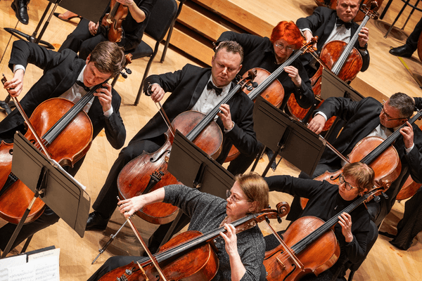 Image preview for Beethoven: Symphony No. 3 “Eroica”