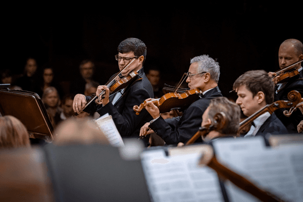 Image preview for Beethoven: Symphony No. 3 “Eroica”