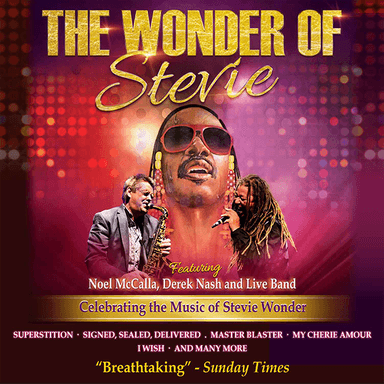 Hero image for The Wonder Of Stevie