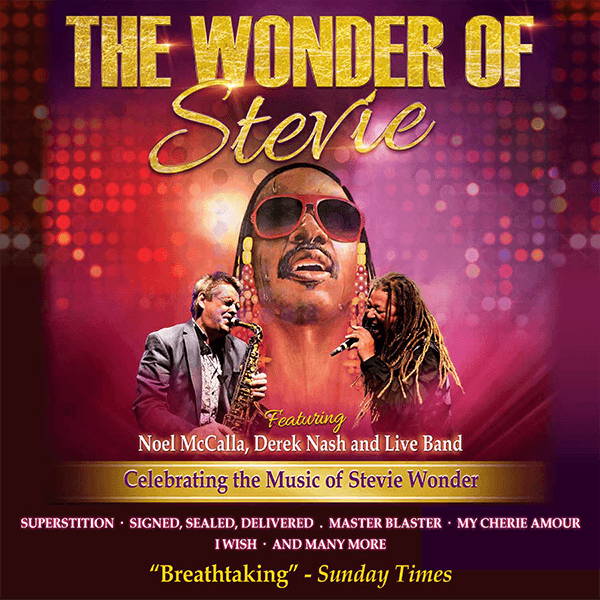 Hero image for The Wonder Of Stevie
