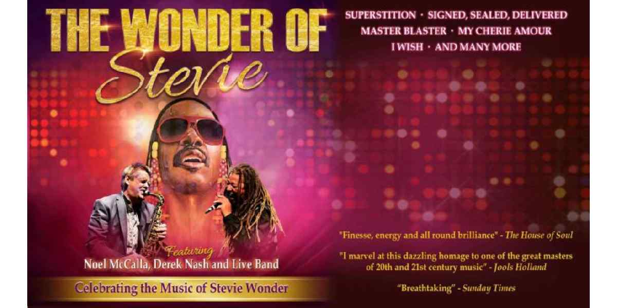 Hero image for The Wonder Of Stevie