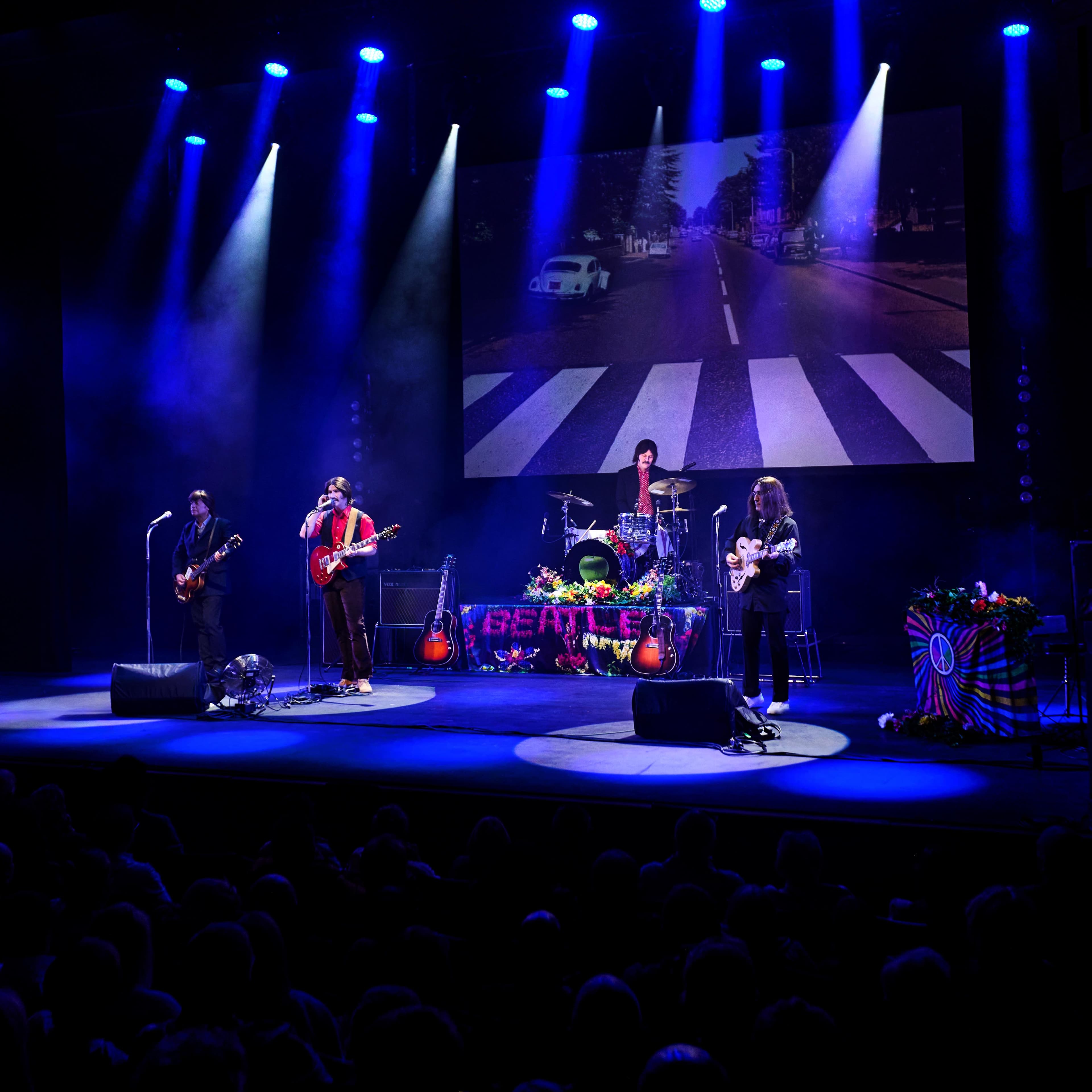 Image preview for The Magic Of The Beatles