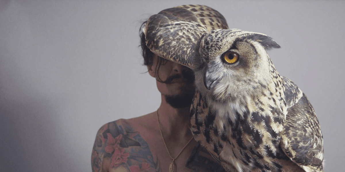 Hero image for Justin Hawkins Rides Again... Again