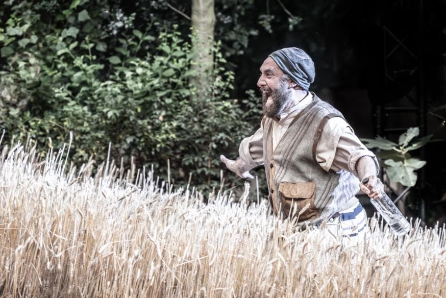 Image preview for Fiddler on the Roof