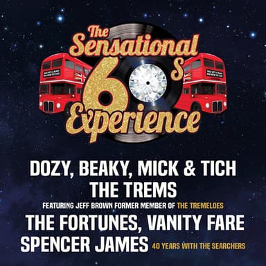 Hero image for The Sensational 60s Experience