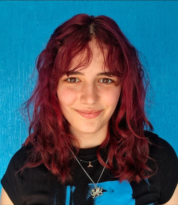 Image preview for DGT: Image 2